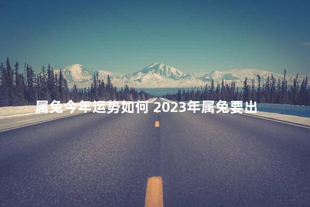 属兔今年运势如何 2023年属兔要出大事